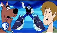 Scooby-Doo! | Shark Attacks 🦈 | @wbkids