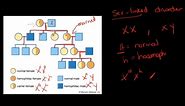 Gr 12 Life Science Genetics and Inheritance Part 8 Genetic Lineages
