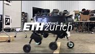 Rolling in the Deep – Hybrid Locomotion for Wheeled-Legged Robots