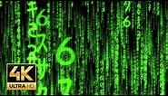 The Matrix Raining Green Code Backdrop for OBS - Teams, Zoom calls in 4k - link to 45mins ver below
