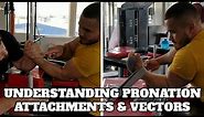 Understanding Pronation Attachments & Vectors (for Hook & Toproll)