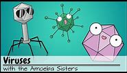 Viruses (Updated)