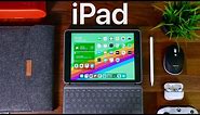 Best iPad Accessories for Students - Budget Edition!!