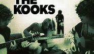 The Kooks - Do You Love Me Still (lyrics)