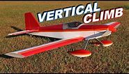 POWERFUL 4S RC Sport Plane - Great Planes Escapade 40 - TheRcSaylors