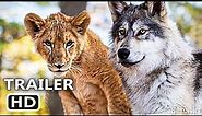THE WOLF AND THE LION Trailer (2022) Molly Kunz, Graham Greene