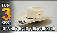 Top 3 Best Cowboy Hats for Working [Review 2023] - Men’s Bozeman Outdoor Hat/Men’s Wool Cowboy Hat