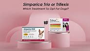 Simparica Trio Vs Trifexis: Which Treatment To Opt For Dogs?
