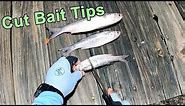 How to Cut Up Baitfish (For More Redfish, Snook, Black Drum & Tarpon)