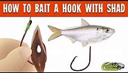 How To Bait A Hook With Shad For Catfishing