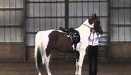 Dressage (French Classical) of Francois Baucher