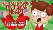 The Human Heart: AMAZING FUN FACTS | Educational Videos For Kids