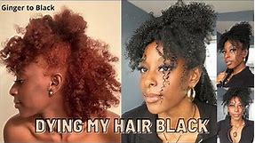 Dying My Natural Hair Jet Black at Home | Ginger to Black 2022