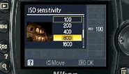 Nikon D60 Understanding ISO