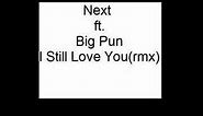 Next ft. Big Pun - I Still Love You(rmx)