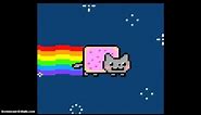 Cat Flying Trough Space Farting Rainbows