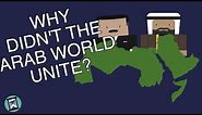 Why Didn't the Arab World Unite? (Short Animated Documentary)