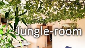 How-to jungle-ceiling