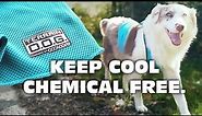 How to Cool Down Your Dog with Coolcore® Technology