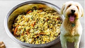 HOMEMADE DOG FOOD | healthy dog food recipe
