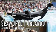 Complete SeaWorld Shamu "Believe" Show | Orlando | Dawn Brancheau | Tilikum | Trainers in the Water
