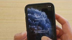 iPhone 11 Pro: How to Change Wallpaper For Lock Screen / Home Screen