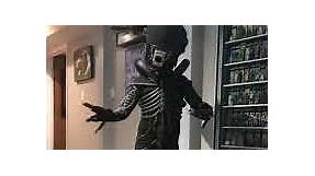 Xenomorph cosplay costume Alien aliens