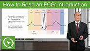 How to Read an Electrocardiogram (ECG): Introduction – Cardiology | Lecturio