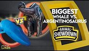 Whale vs. Argentinosaurus: Battle for the Biggest | Animal Showdown