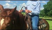 Holding Snaffle Bit Reins Correctly with Dennis Moreland Tack