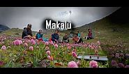 Makalu Barun National Park: the jewel of Eastern Nepal | मकालु बरुण रास्ट्रिया निकुन्ज || संखुवासभा