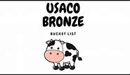 USACO Bronze Bucket List Explanation Video