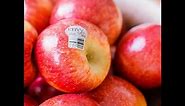 Apples 101 - About Envy Apples (Origins)