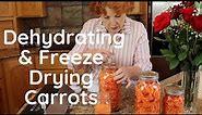 Dehydrating & Freeze Drying Carrots