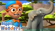 Blippi Meets an Elephant! | Blippi Wonders | Learn ABC 123 | Fun Cartoons | Moonbug Kids
