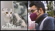 The coronavirus cat rescuer of Wuhan