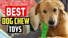 ✅5 Best Dog Chew Toys of 2023