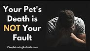 Your Pet's Death is Not Your Fault #petloss | Pet Grief | Dog Loss | Cat Loss | Pet Death Guilt