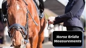 Horse Bridle Measurements Chart And How it Works [Guide]