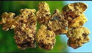 Gold Nuggets [Refining Raw Gold Into Pure Gold]