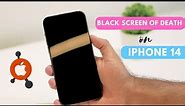 How to Fix iPhone 14 Pro and 14 Pro Max Black Screen of Death