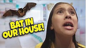 BAT TERRORIZES LITTLE GIRL!!! Angry Bat in Our House! Scariest Halloween Ever!