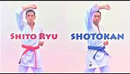 Shito Ryu VS Shotokan - Uke Hand Blocks (Funny Version)