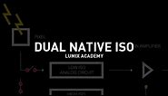 Panasonic - LUMIX S series - DC-S1H - What is Dual Native ISO?