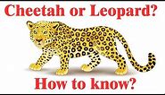 Difference between Cheetah and Leopard | Cheetah vs Leopard comparison | Simply E-learn Kids