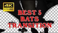 BEST 5 Bats Transition Animation png, transparent background | Halloween
