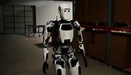 Meet Apollo, the humanoid robot that could be your next coworker