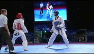 2013 WTF World Taekwondo Championships Final | Male -63kg