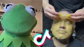 Funny @kermitontiktok TikToks of 2021 | Kermit On TikTok Compilation