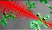Molecular Fingerprinting - Lasers for Life